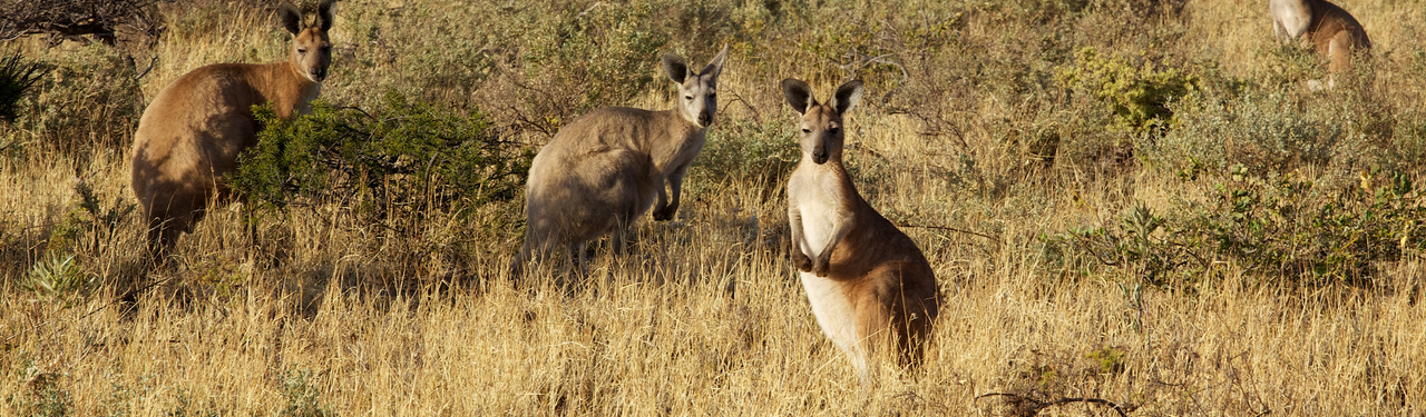 CC BY-NC 2.0 by Duncan Rawlinson