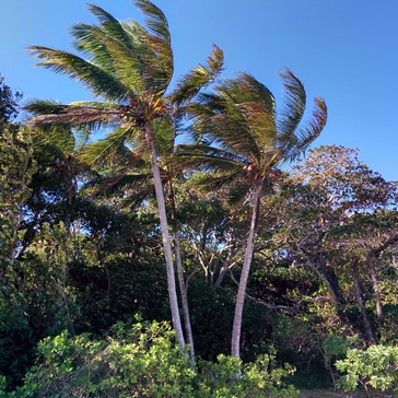 Green Island