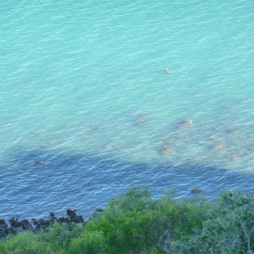 View on turtles from  View on turtles from