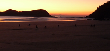 Cape Hillsborough (early morning)