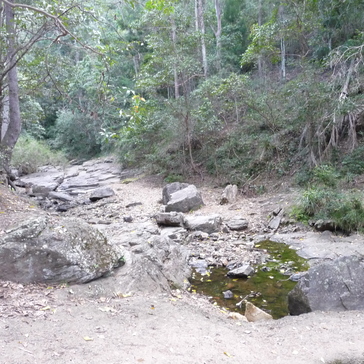 Track to Mount Coot-tha lookout Track to Mount Coot-tha lookout