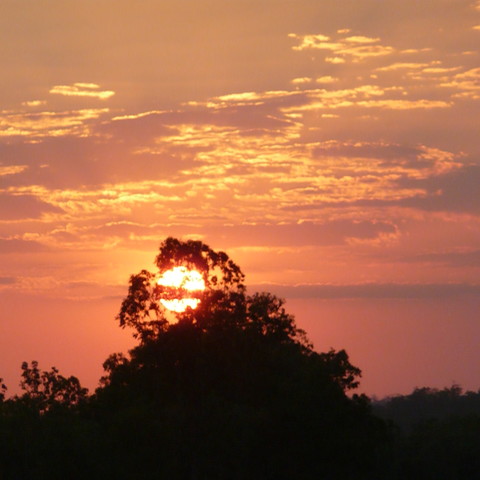 Sunset on the way to Litchfield National Park Sunset on the way to Litchfield National Park
