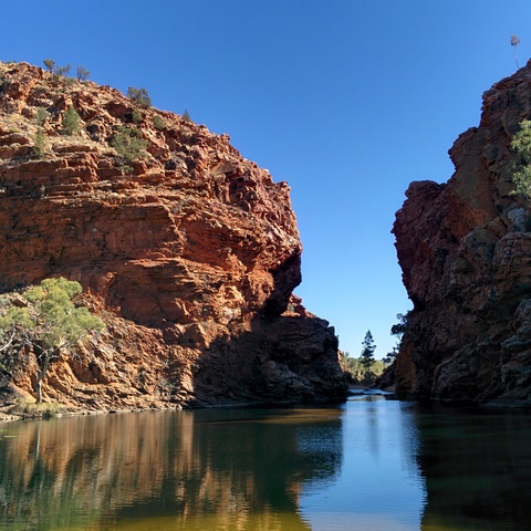 MacDonnell Ranges: Ellery Creek