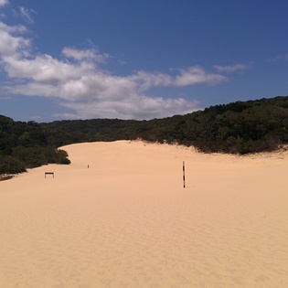 Sand patch / sand dune close to Lake Wabby