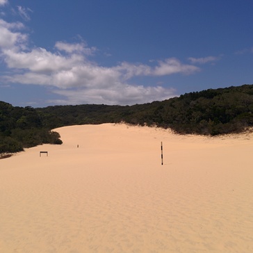 Sand patch / sand dune close to Lake Wabby