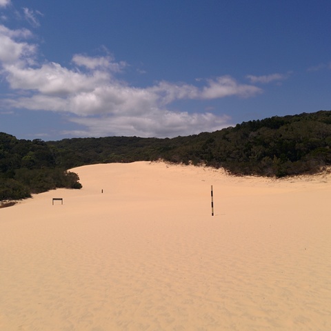 Sand patch / sand dune close to Lake Wabby