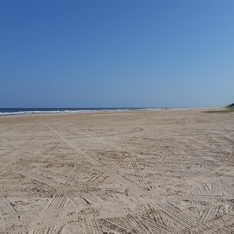 Markus Holtermann — Fraser Island