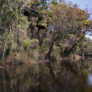 Upper Noosa River