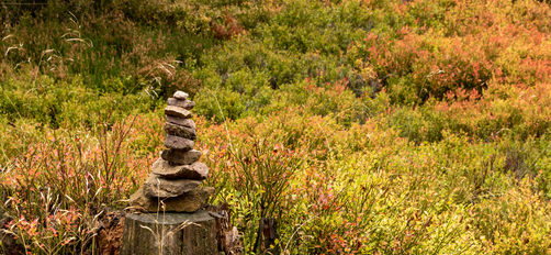 Writing Safe Database Migrations in Django