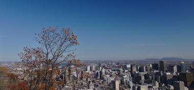 Oh, I Found a Security Issue